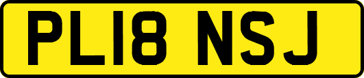 PL18NSJ