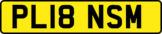 PL18NSM