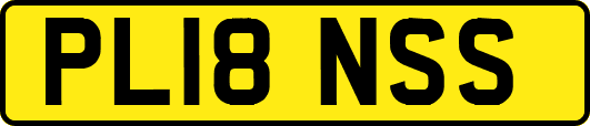 PL18NSS