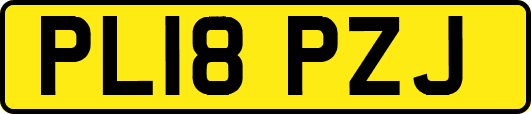 PL18PZJ