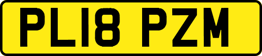 PL18PZM