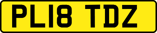 PL18TDZ