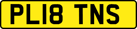 PL18TNS