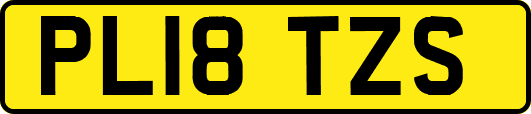PL18TZS