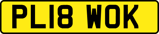PL18WOK