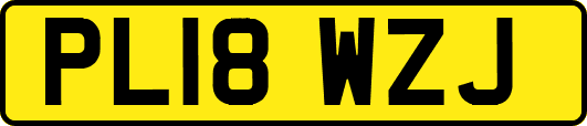 PL18WZJ
