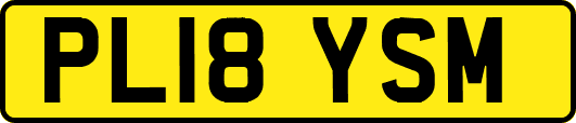 PL18YSM