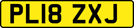 PL18ZXJ