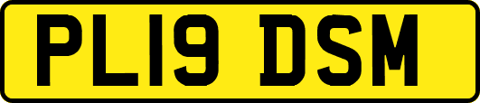 PL19DSM