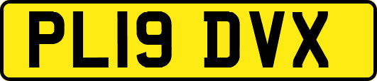 PL19DVX
