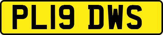 PL19DWS