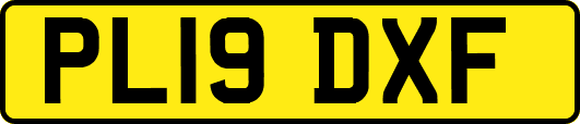 PL19DXF