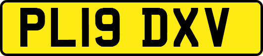 PL19DXV