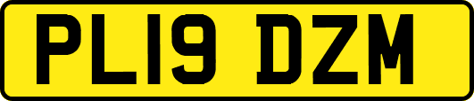 PL19DZM