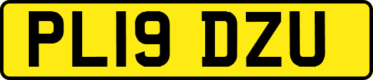 PL19DZU