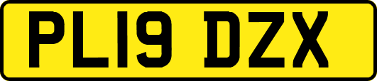 PL19DZX