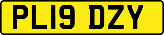 PL19DZY