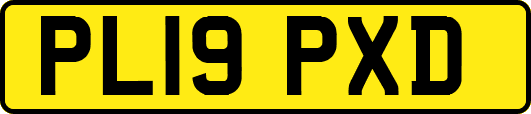 PL19PXD