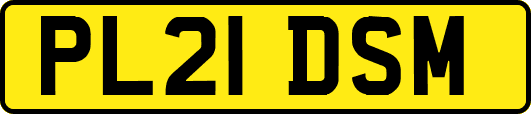 PL21DSM