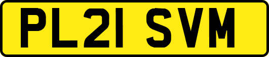 PL21SVM