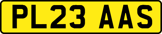 PL23AAS