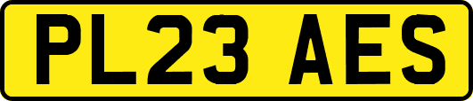 PL23AES