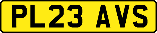 PL23AVS