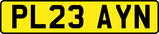 PL23AYN
