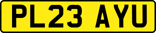 PL23AYU