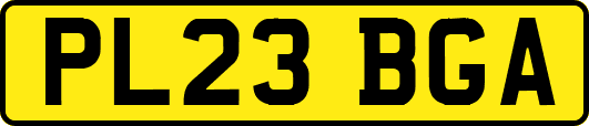 PL23BGA