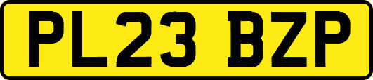 PL23BZP