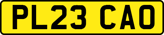 PL23CAO