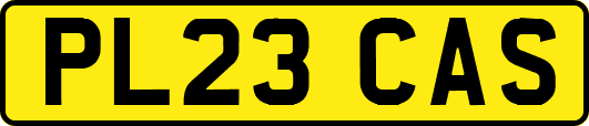PL23CAS