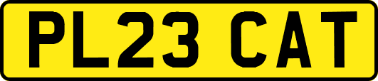 PL23CAT