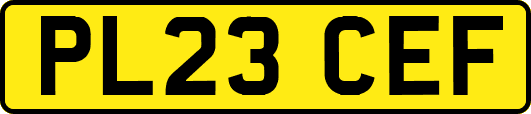 PL23CEF