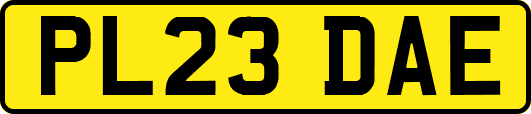 PL23DAE
