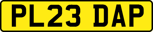 PL23DAP