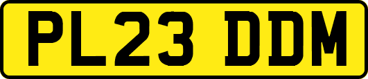 PL23DDM