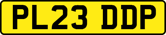 PL23DDP