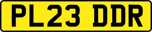 PL23DDR