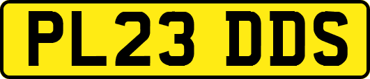 PL23DDS
