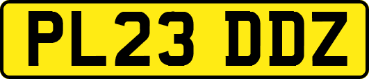 PL23DDZ