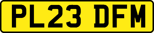 PL23DFM