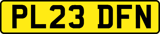 PL23DFN