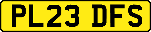 PL23DFS