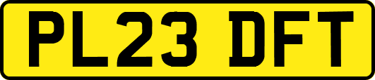PL23DFT
