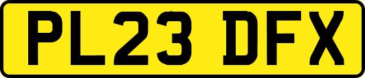 PL23DFX