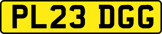 PL23DGG