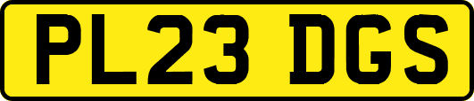 PL23DGS