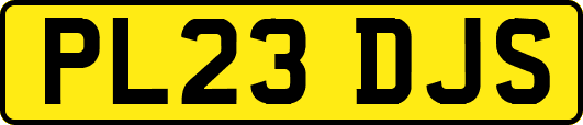 PL23DJS